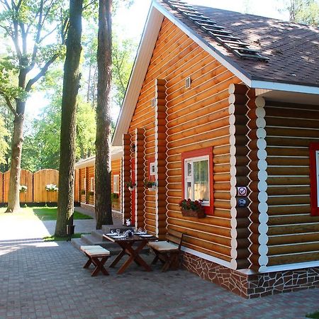 Belaya Dacha Apartment Gomel Værelse billede
